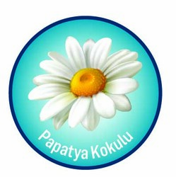 Önlem Antibakteriyel Cep Mendil 15x12 Adet - 3